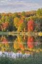 Autumn Landscape Doe Lake Royalty Free Stock Photo