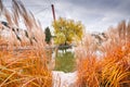 Autumn landscape of Drumul Taberei Park in Bucharest city capital of Romania with cloudy sky and great fall colors Royalty Free Stock Photo