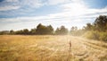 Autumn landscape with dry grass in the morning at sunrise