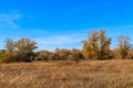 Autumn landscape with dry meadow and colorful fall trees Royalty Free Stock Photo