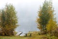 Autumn landscape in the early foggy morning on a beautiful lake with water lilies. Royalty Free Stock Photo