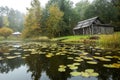 Autumn landscape in the early foggy morning on a beautiful lake with water lilies. Royalty Free Stock Photo