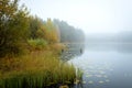 Autumn landscape in the early foggy morning on a beautiful lake with water lilies.