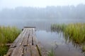 Autumn landscape in the early foggy morning on a beautiful lake with water lilies. Royalty Free Stock Photo