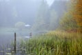 Autumn landscape in the early foggy morning on a beautiful lake with water lilies. Royalty Free Stock Photo