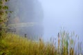 Autumn landscape in the early foggy morning on a beautiful lake with water lilies. Royalty Free Stock Photo