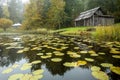 Autumn landscape in the early foggy morning on a beautiful lake with water lilies. Royalty Free Stock Photo