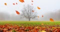 Autumn landscape in the early morning - view of a foggy autumn park with fallen leaves Royalty Free Stock Photo