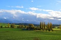 autumn landscape in the Eifel with golden light on cyress trees Royalty Free Stock Photo