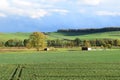 autumn landscape in the Eifel with a hut and buffaloes Royalty Free Stock Photo