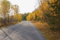 Autumn landscape. Empty asphalt road passing through the autumn forest. Bright yellow foliage of trees Royalty Free Stock Photo