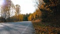 Autumn landscape. Empty asphalt road passing through the autumn forest. Bright yellow foliage of trees Royalty Free Stock Photo