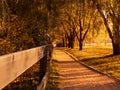 Autumn landscape with evening sunbeams, shadows from trees on the path and an old wooden fence