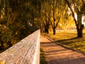 Autumn landscape with evening sunbeams, shadows from trees on the path and an old wooden fence