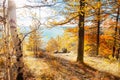 Autumn landscape. Fall scene