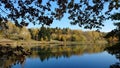 Autumn Landscape. Fall Scene.Trees and Leaves in Sunlight Rays Royalty Free Stock Photo