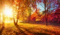 Autumn Landscape. Fall Scene.Trees and Leaves in Sunlight Rays Royalty Free Stock Photo