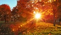 Autumn Landscape. Fall Scene.Trees and Leaves in Sunlight Rays Royalty Free Stock Photo