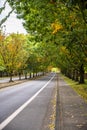 Autumn landscape with a fallen dry tree by the lake Royalty Free Stock Photo