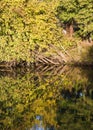 Autumn landscape with fallen tree Royalty Free Stock Photo