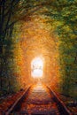 Autumn landscape - Fantastic Autumn Trees Tunnel with old railway - Tunnel of Love. Natural tunnel of love formed by trees