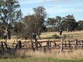 Autumn Landscape with Fence and Trees.