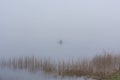 Autumn landscape with a fisherman on the lake in the fog. Early morning on the lake Royalty Free Stock Photo