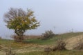 Autumn landscape with a fisherman on the lake in the fog. Early morning on the lake Royalty Free Stock Photo