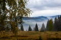 Autumn landscape with fog in the mountains. Fir forest on the hills. Carpathians, Ukraine, Europe. High quality photo Royalty Free Stock Photo