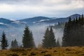 Autumn landscape with fog in the mountains. Fir forest on the hills. Carpathians, Ukraine, Europe. High quality photo Royalty Free Stock Photo