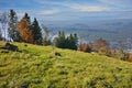 Autumn Landscape and fog over Lake Luzerne, Switzerland Royalty Free Stock Photo