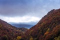 Autumn landscape in the forest of La Fageda de Grevolosa, La Garrotxa