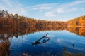 Autumn landscape with forest lake at sunny calm fall morning vibrant trees foliage reflection Royalty Free Stock Photo