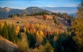 Autumn landscape of forest mountains and hill on sunset.