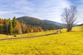 autumn landscape with forest railway near saddle Beskyd in Slovakia Royalty Free Stock Photo