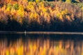 Autumn landscape, forest reflecting in lake Royalty Free Stock Photo