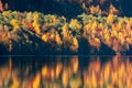 Autumn landscape, forest reflecting in lake Royalty Free Stock Photo