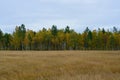 Autumn landscape with forest taiga of Buryatia, near Baikal lake