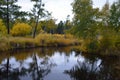 Autumn landscape with forest taiga of Buryatia, near Baikal lake