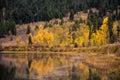 Autumn landscape