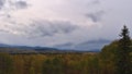 Autumn landscape with forest of yellow trees in valley near Yellowhead Highway (16) south of Smithers, Canada.