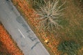 Autumn landscape. Fun and tomfoolery in the leaves. Girl in yellow rubber boots.