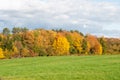 The colorful deciduous trees in an autumn landscape Royalty Free Stock Photo