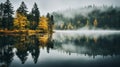 Autumn Landscape, Gloomy Misty Forest Lake, Reflection