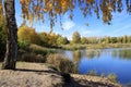 Autumn landscape - gold birch near pond