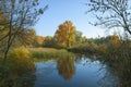 Autumn landscape. Gold trees, lake and cane. Calm evening.