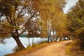 Autumn landscape of golden yellow trees at lake in park. Royalty Free Stock Photo