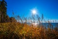 Autumn landscape on the river. The Ob River, Siberia, Russia Royalty Free Stock Photo