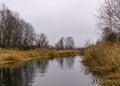 Autumn landscape gray and cloudy day, river bank with bare trees and bushes, bank reflection in river water