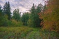 Autumn landscape green meadow and forest in the background against the backdrop of a beautiful blue sky and white clouds Royalty Free Stock Photo